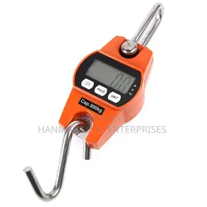 High Quality Digital 300kg Crane Scale
