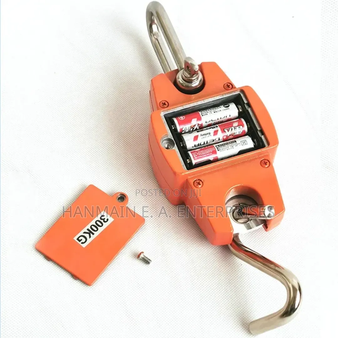 High Quality Digital 300kg Crane Scale