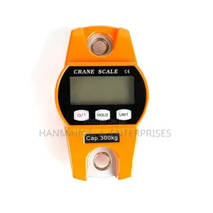 High Quality Digital 300kg Crane Scale
