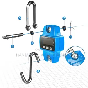 High Quality Digital 300kg Crane Scale