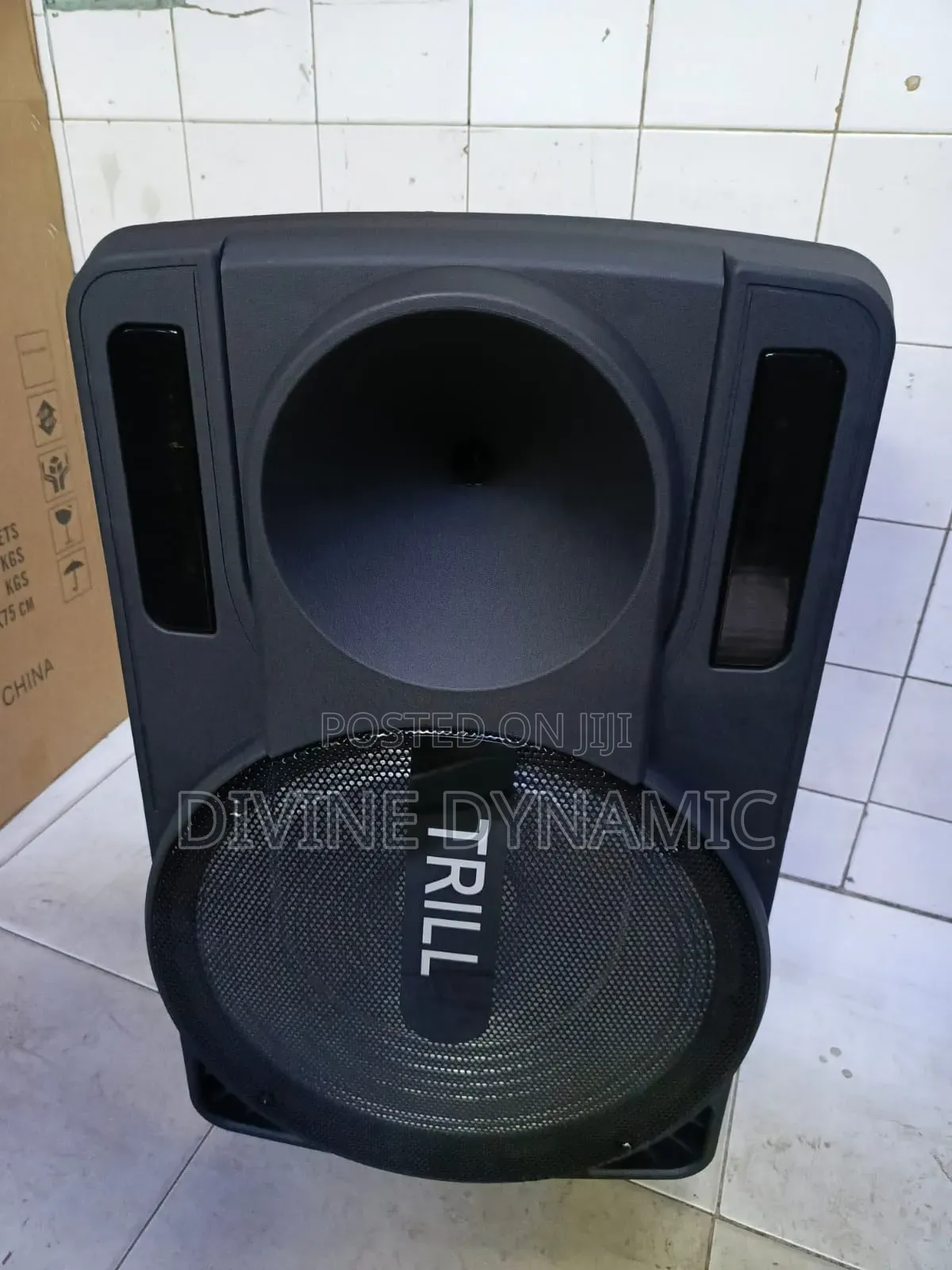 Portable Speaker Trill TD_D250