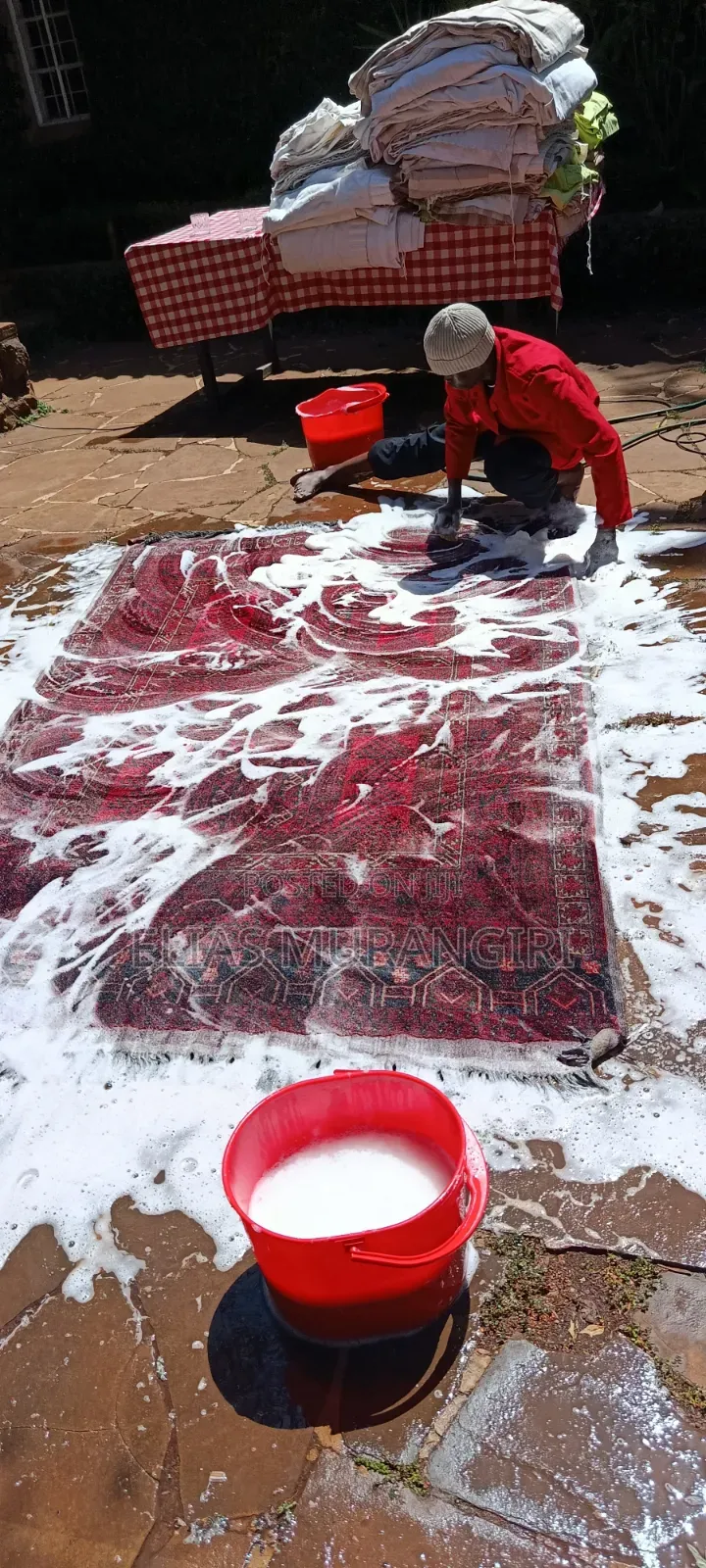 Same Day Carpet and Sofa Cleaning