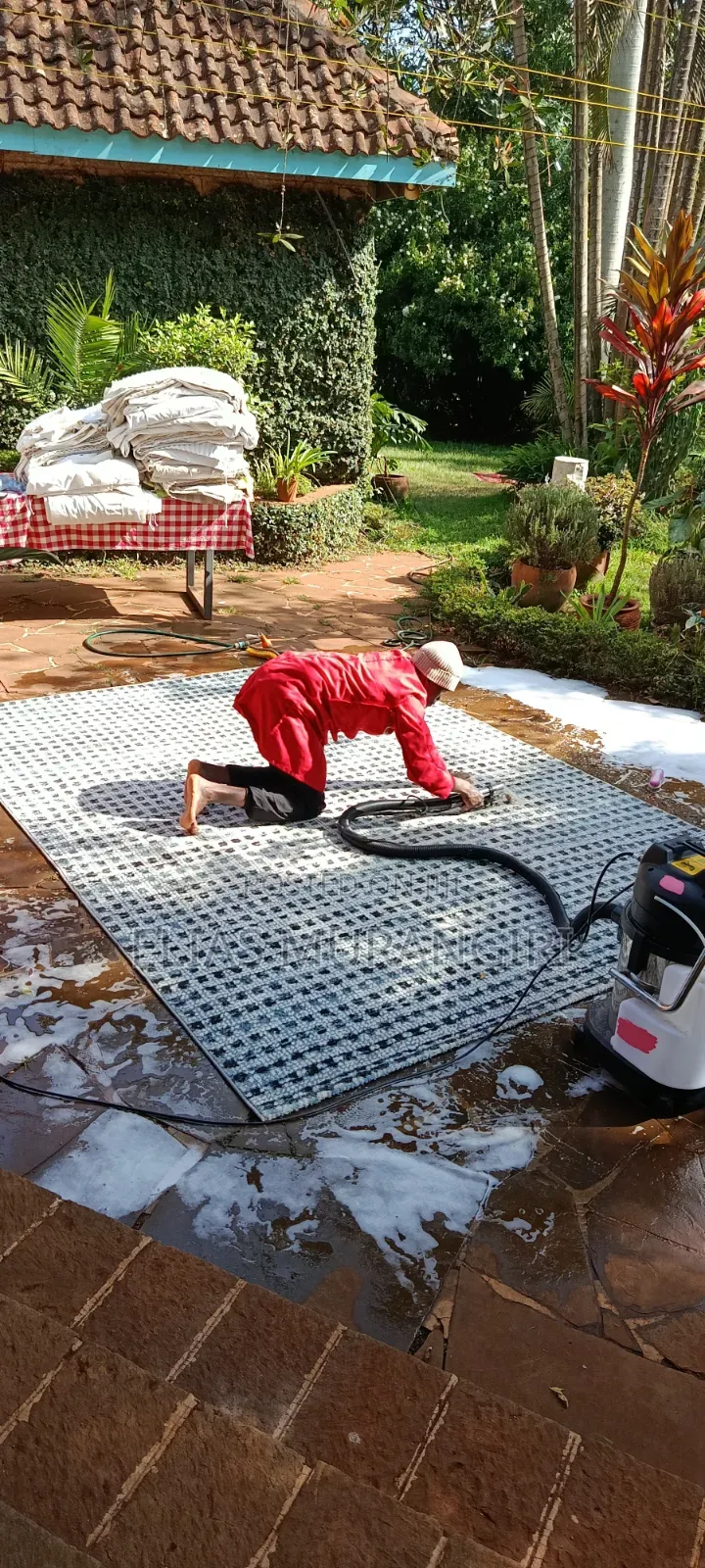 Same Day Carpet and Sofa Cleaning