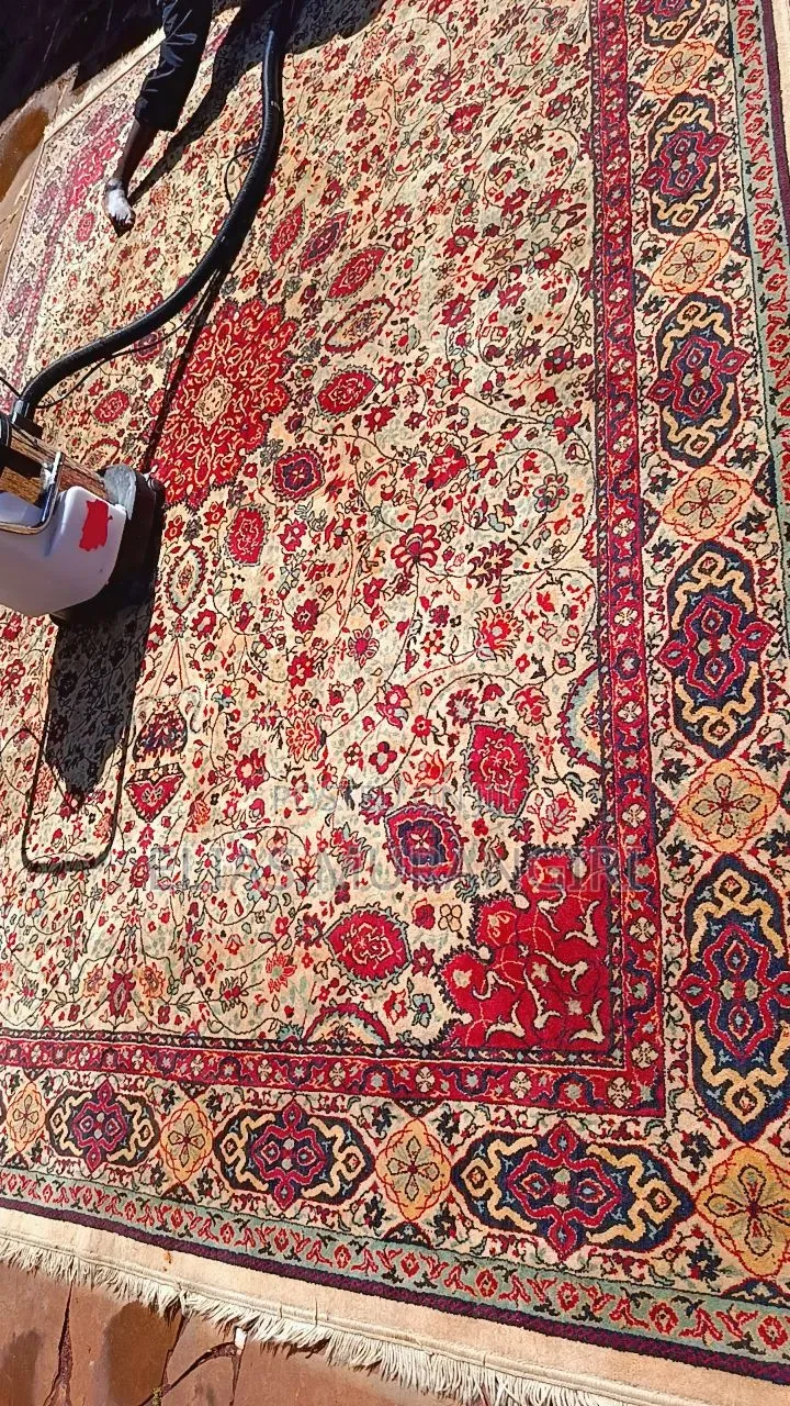 Same Day Carpet and Sofa Cleaning