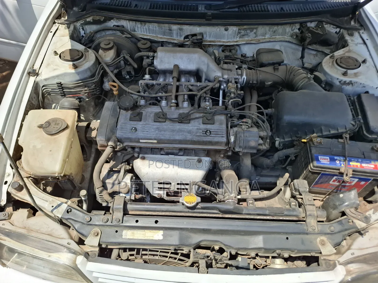 Toyota Corolla 2000 White