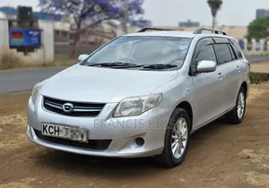 Toyota Corolla Fielder 2009 Silver