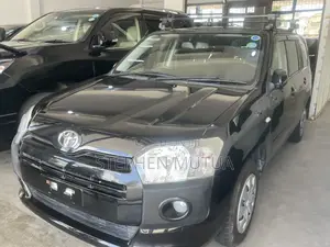 Toyota Succeed 2019 Black