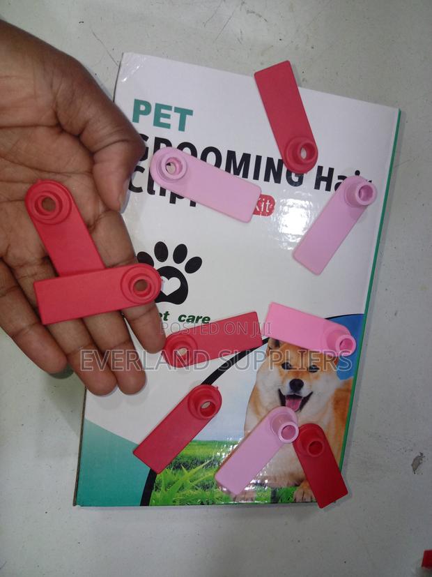 Ear Tags - Bold Number Format