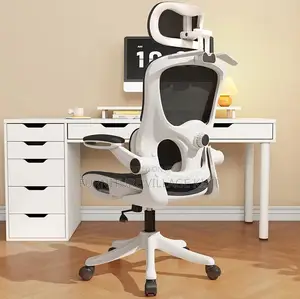 Office Chair ; Ergonomic Office Chair With Lumbar Support