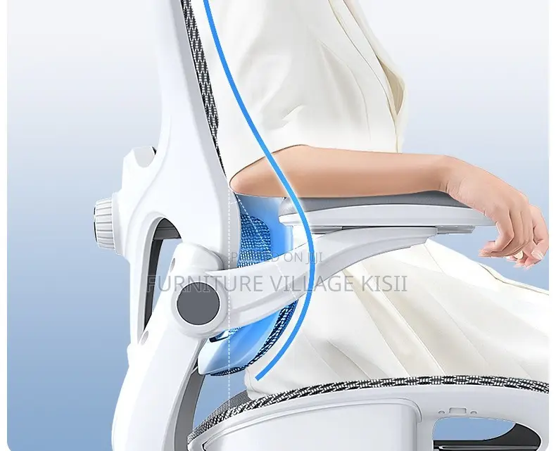 Office Chair ; Ergonomic Office Chair With Lumbar Support