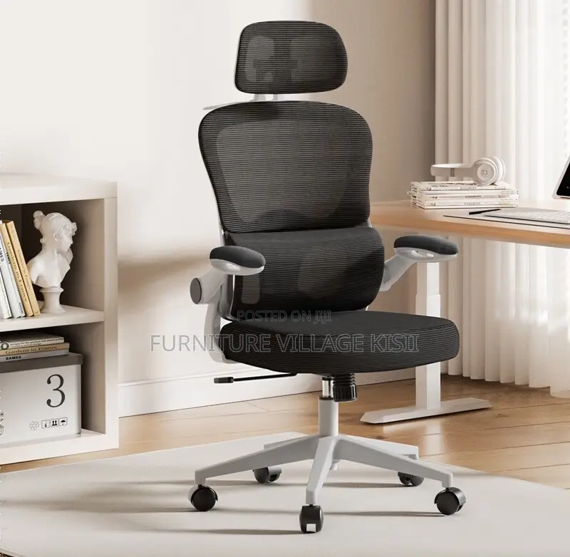 Office Chair ; Ergonomic Office Chair With Lumbar Support