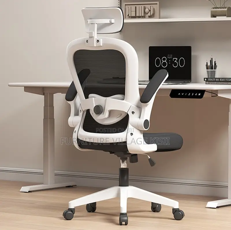 Office Chair ; Ergonomic Office Chair With Lumbar Support
