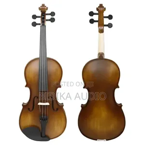 New Arrival Viola