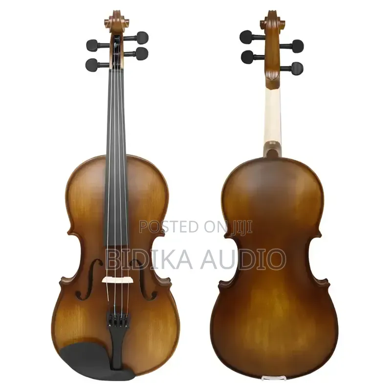 New Arrival Viola