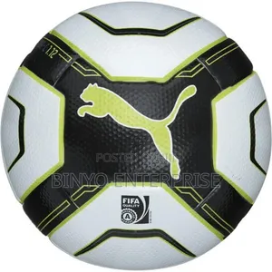 Puma Premiere League Football