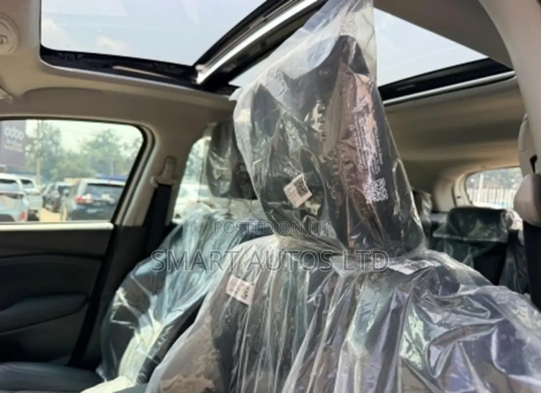 Toyota Urban Cruiser 2025 Gray