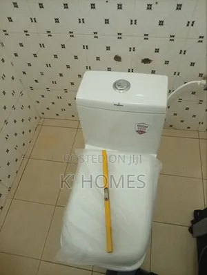 Lets Fix Your Leaking Cistern