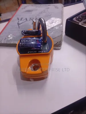 New Arrival 300kg Digital Scale/Battery Powered Commercial Weighing