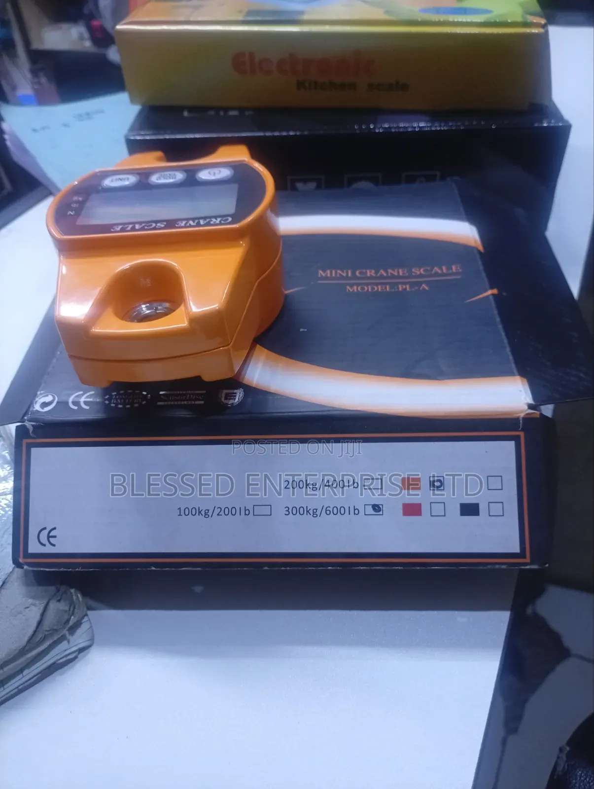 300kg Mini Crane Scale Weighing Scale