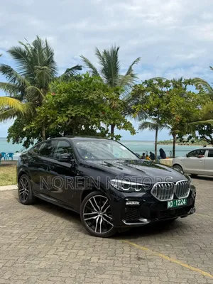 BMW X6 xDrive40i 2021 Matt Black