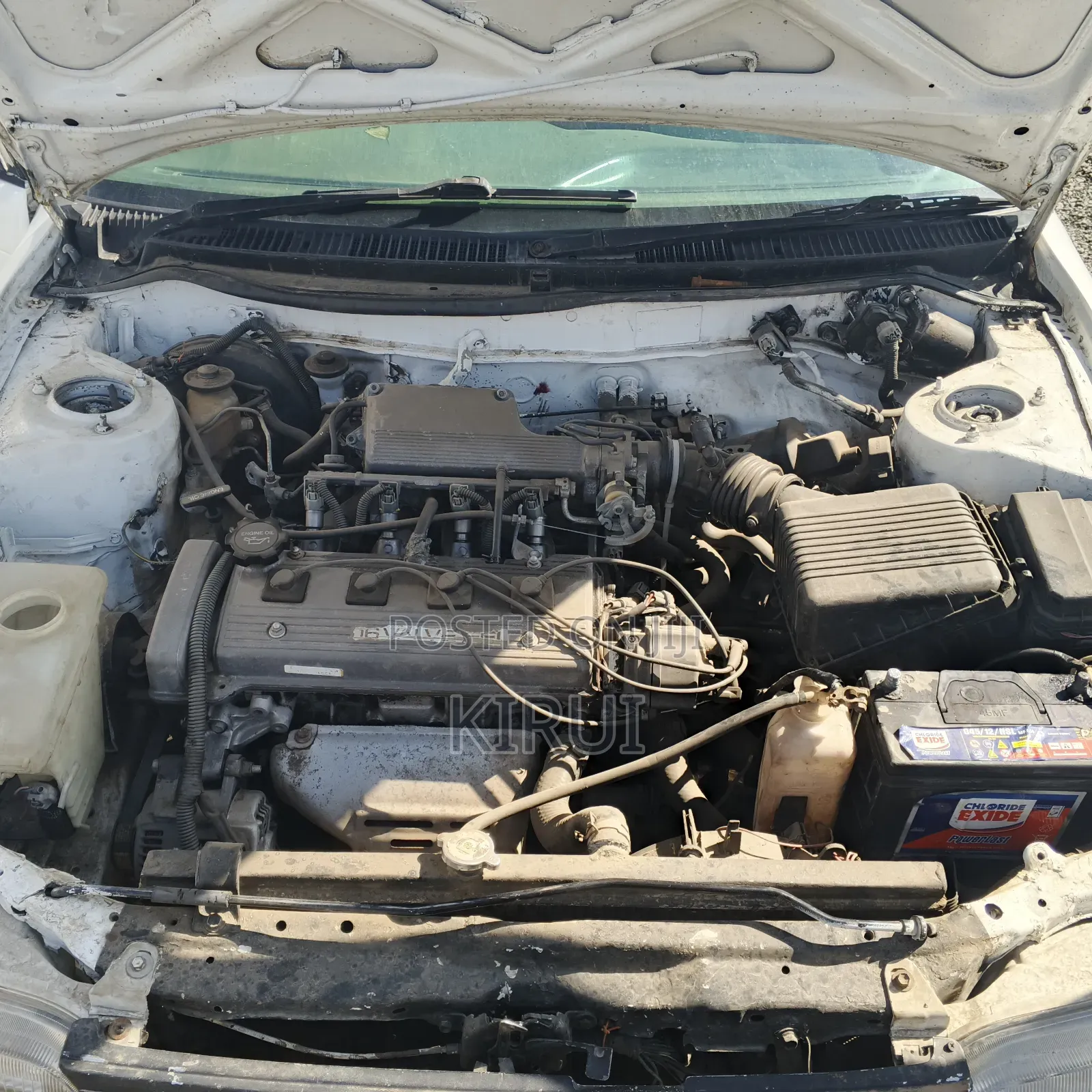 Toyota Corolla 2001 White