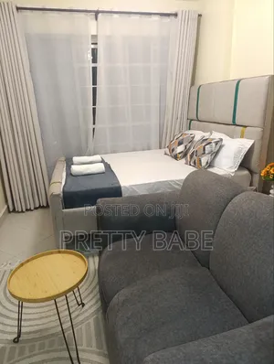 Fully Furnished Studio at Ngara
