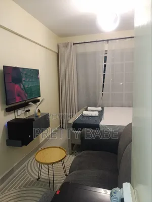 Fully Furnished Studio at Ngara