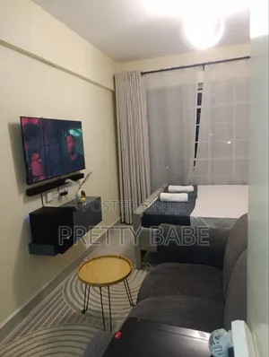 Fully Furnished Studio at Ngara