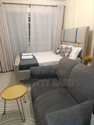 Fully Furnished Studio at Ngara
