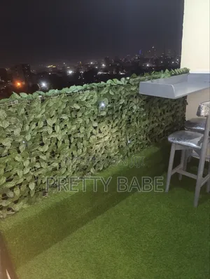 Fully Furnished Studio at Ngara
