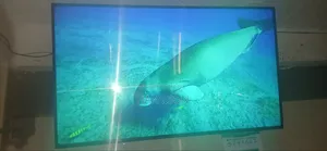 SONY 65 Ultra