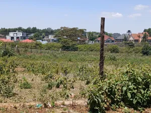 Quoter Acre Availlable at Nairobi Ndogo Kikuyu