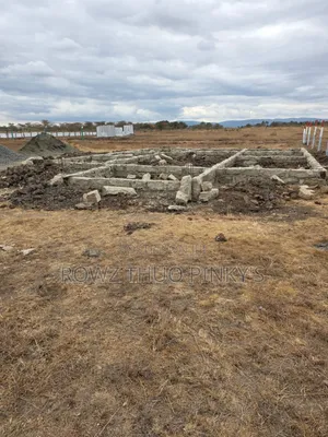 50x100 Plots