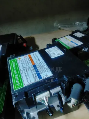 Suzuki Lithium Battery
