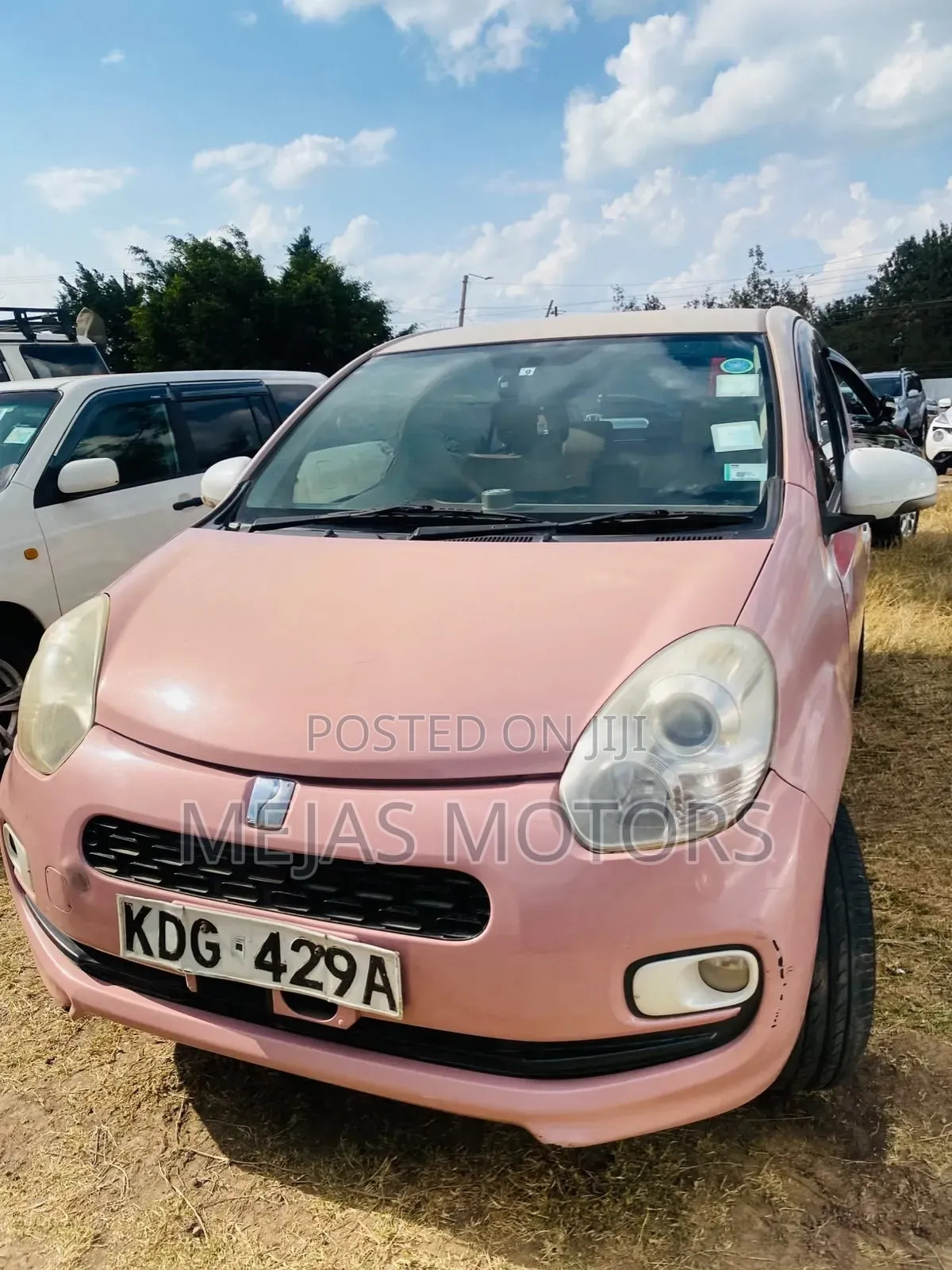 Toyota Passo 2014 Pink