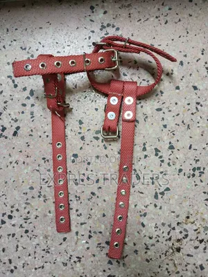 Wooden Pole Climbers Straps