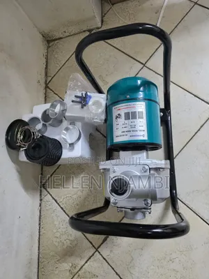 Premier 2" 900W DC Solar Pump