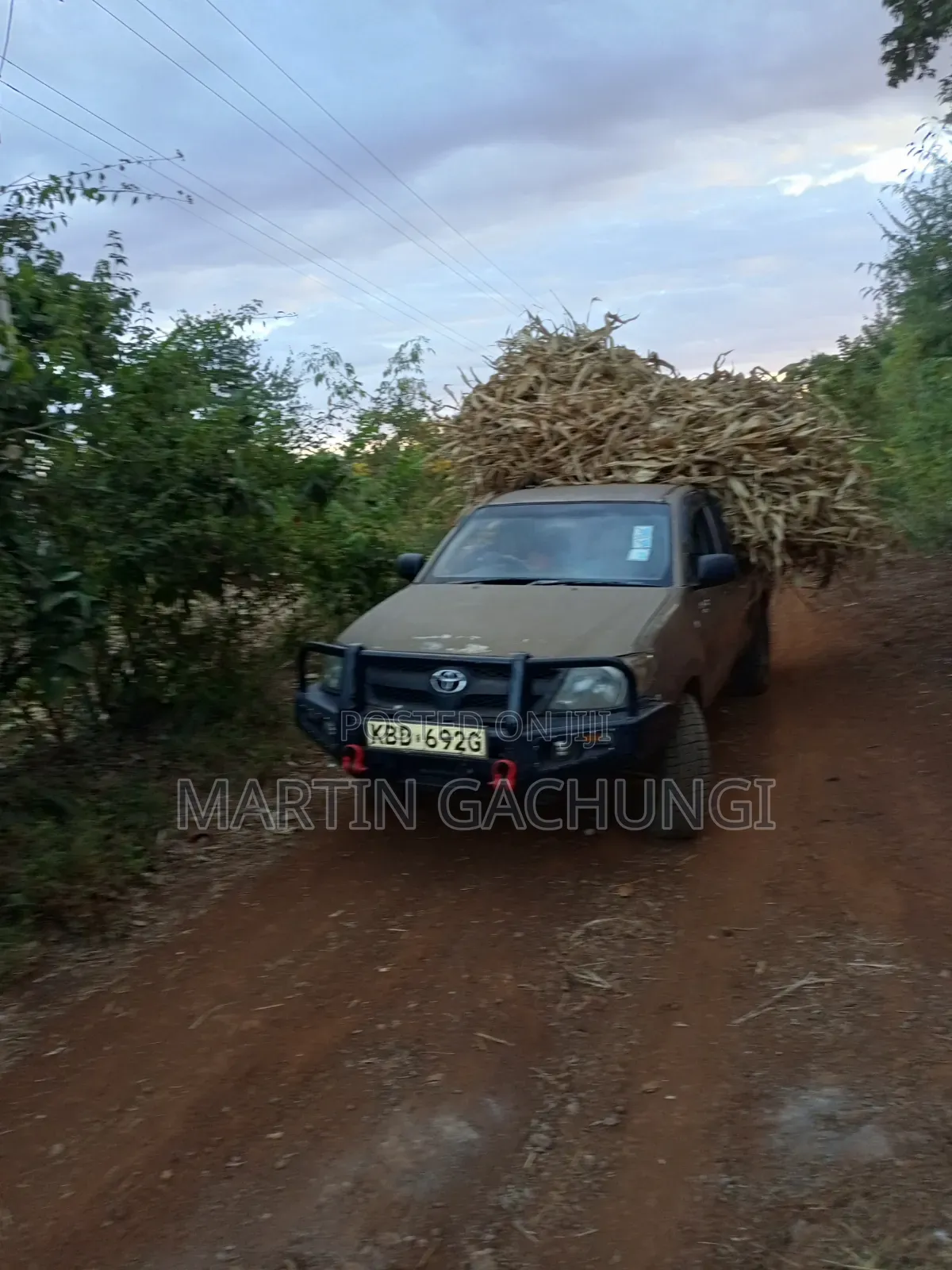 Toyota Hilux Vigo Single Cab