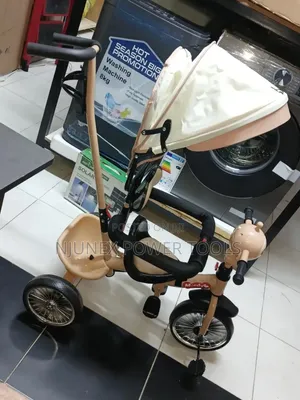 Brown Children's Tricycle Equipped