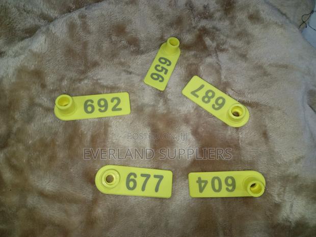 Ear Tags - Visible Animal Tagging