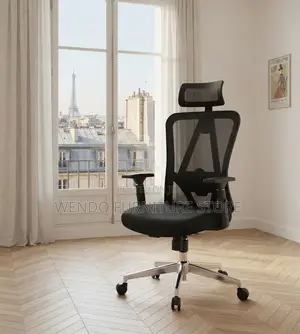 Office Chairs; Ergonomic Adjustable Modern Offices Chairs