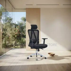 Office Chairs; Ergonomic Adjustable Modern Offices Chairs