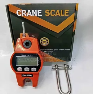 Easy to Use 300kg Crane Scale Machine
