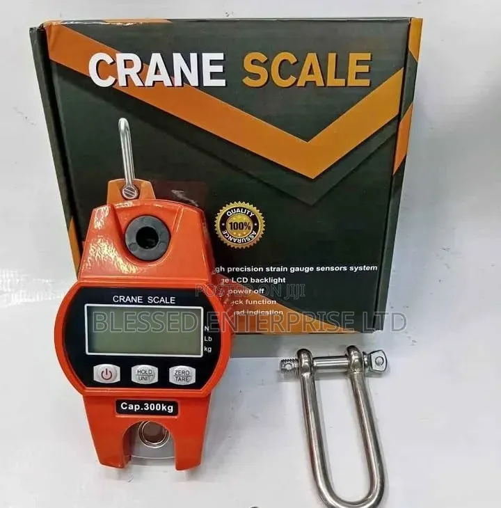 Easy to Use 300kg Crane Scale Machine