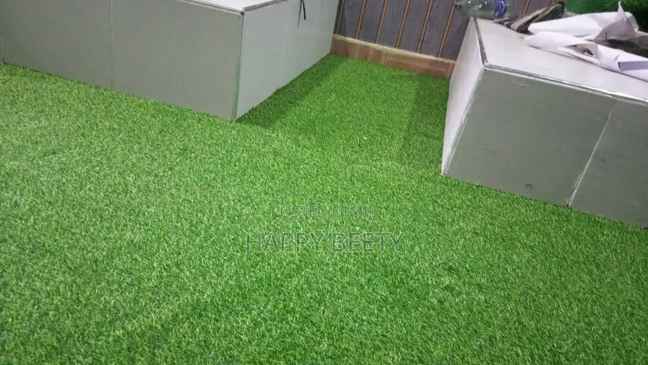 Bring the Green Beautiful Lush of Grass to Your Home