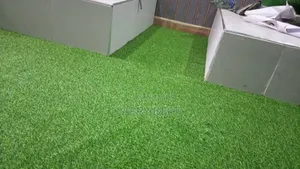 Bring the Green Beautiful Lush of Grass to Your Home