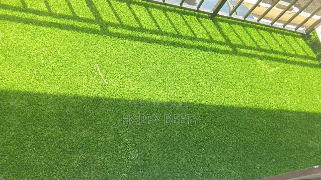 Bring the Green Beautiful Lush of Grass to Your Home