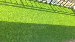 Bring the Green Beautiful Lush of Grass to Your Home