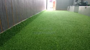 Bring the Green Beautiful Lush of Grass to Your Home