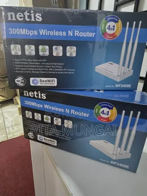Netis Wf2409e